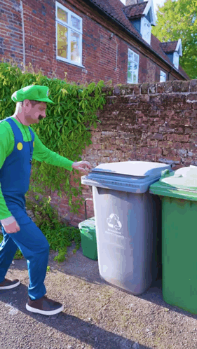 Mario Luigi GIF