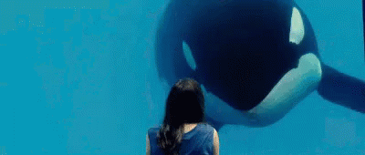 Marion Cotillard GIF