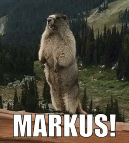 Markus Marcus GIF