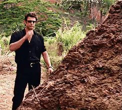 Marron Marronazo GIF