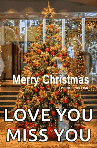 Marrychristmas Xmas GIF