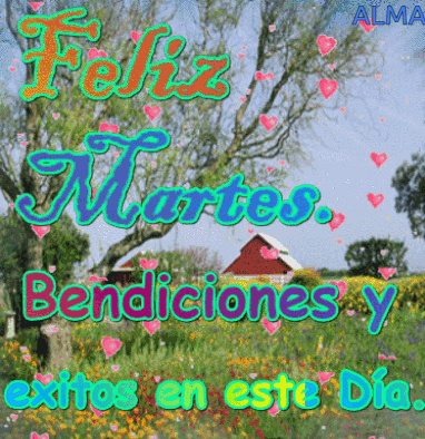 Martes GIF