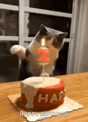 Max Says Happy Borthday GIF