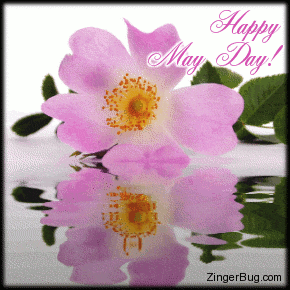 May Day GIF