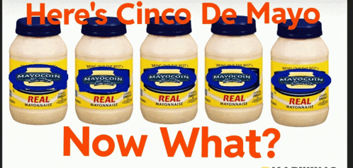 Mayocoin Meme