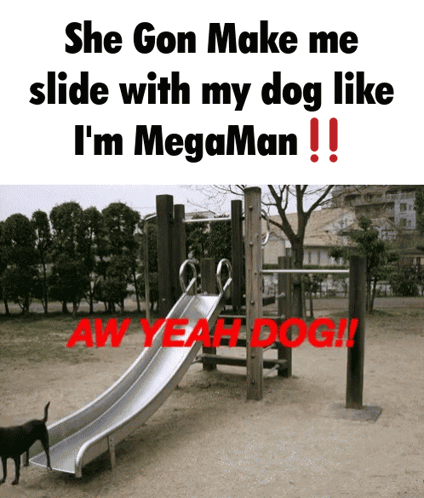 Megaman Slide With My Dog GIF