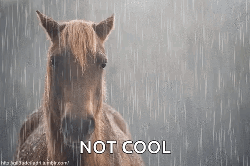 Megosztható Horse GIF