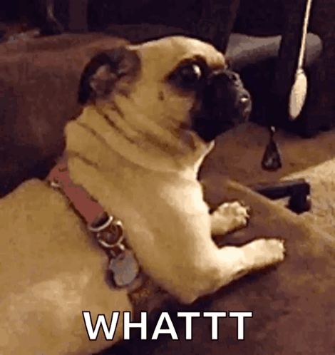 Meh What GIF