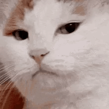 Melirik GIF