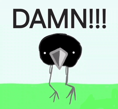 Meme Bird GIF