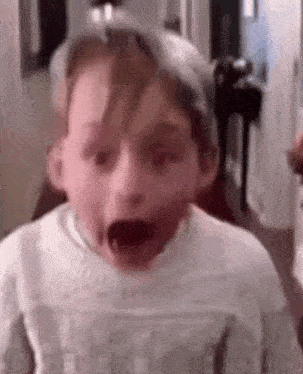 Meme GIF