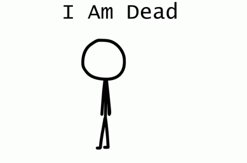 Meme Funny GIF