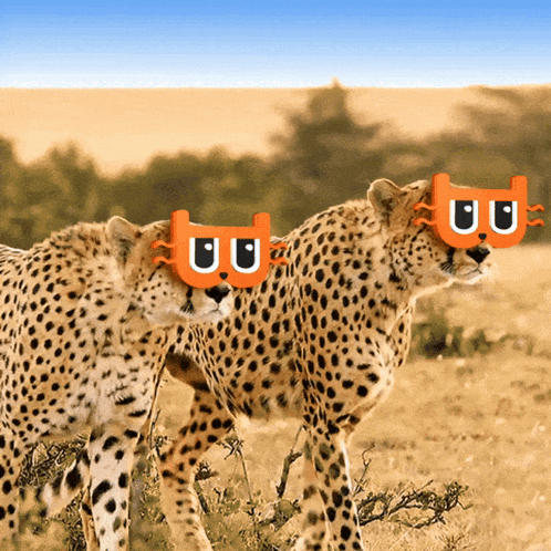 Meme Trending GIF