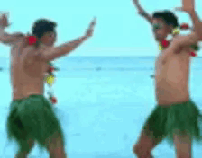 Meme GIF