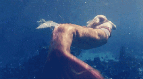 Mermaid Halfgirlhalffish GIF
