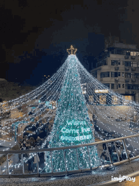 Merry Christmas GIF