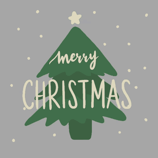 Merry Christmas Christmas GIF