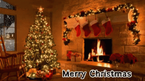 Merry Christmas Christmas Tree GIF