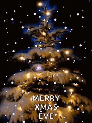 Merry Christmas Christmas GIF