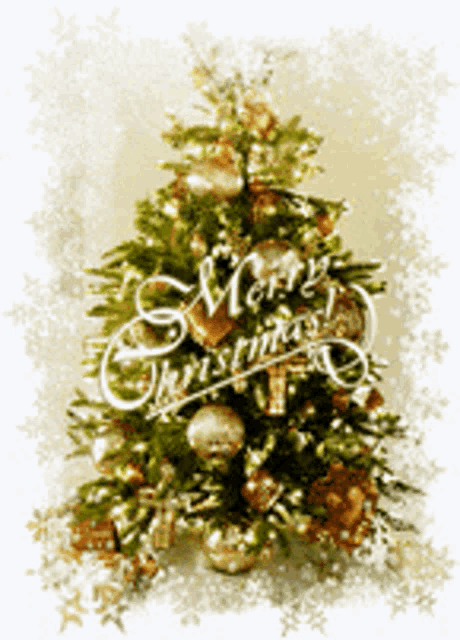 Merry Christmas Greetings GIF