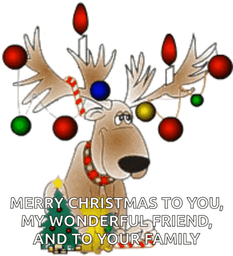 Merry Christmas GIF