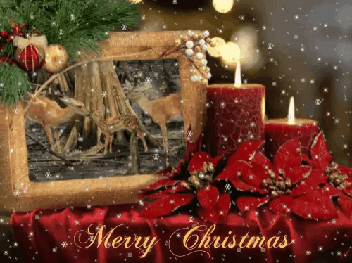 Merry Christmas The Season GIF
