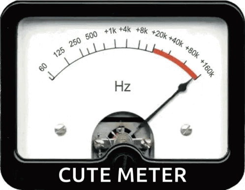 Meter Max GIF