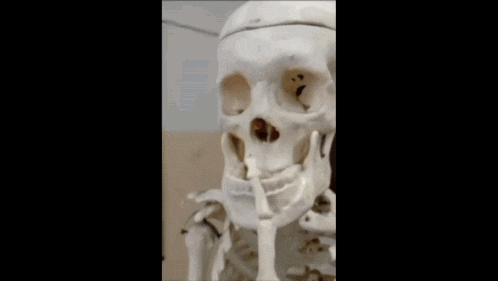 Mewing Shhimmewing GIF