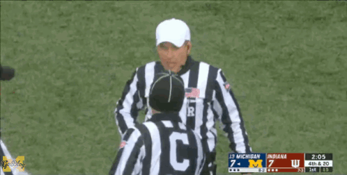 Michigan Wolverines GIF