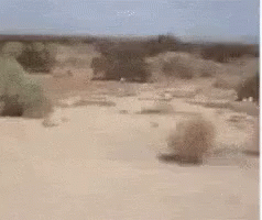 Middle Of Nowhere GIF