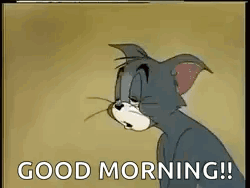 Midnightgif300 GIF