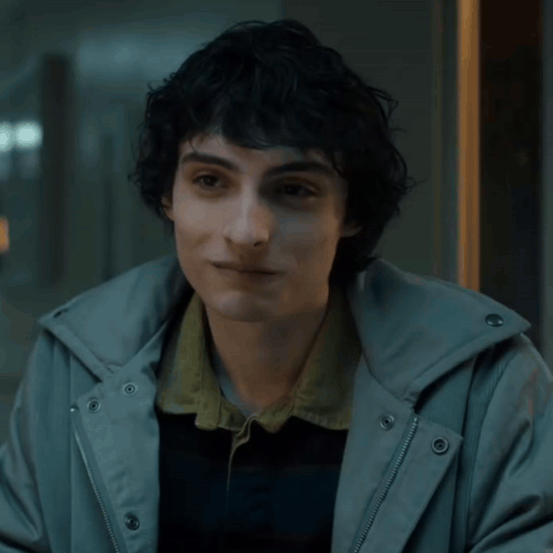 Mike Wheeler Mike Wheeler Season 5 GIF