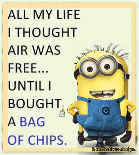 Minion Minions GIF