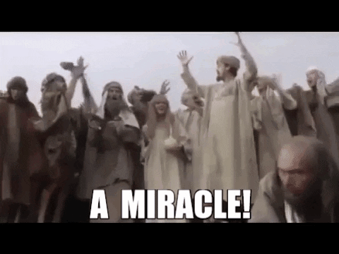 Miracle Monty Python GIF