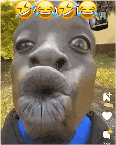 Miss You Kiss GIF