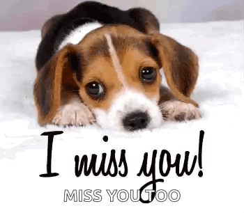 Miss You GIF