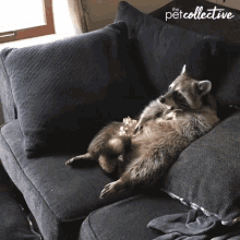 Missed Token Mmm GIF