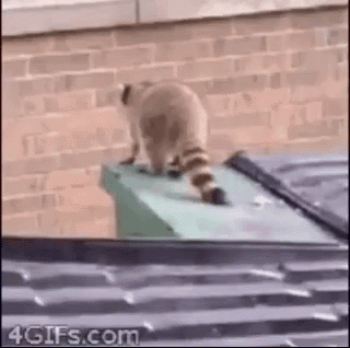 Mmm Munchies GIF