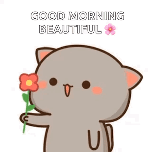 Mochi Cat GIF