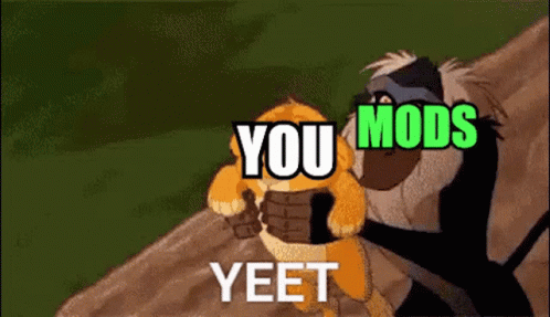 Mod Yeet GIF