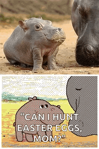 Mom Hippo GIF