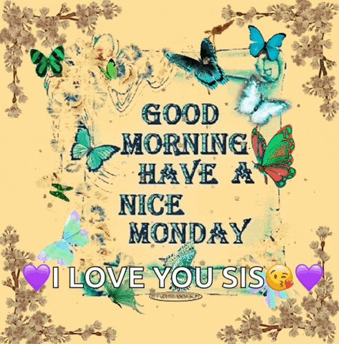 Monday Vec50 GIF