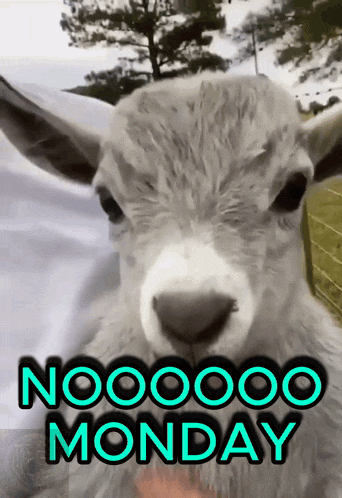 Mondays Monday Sucks GIF