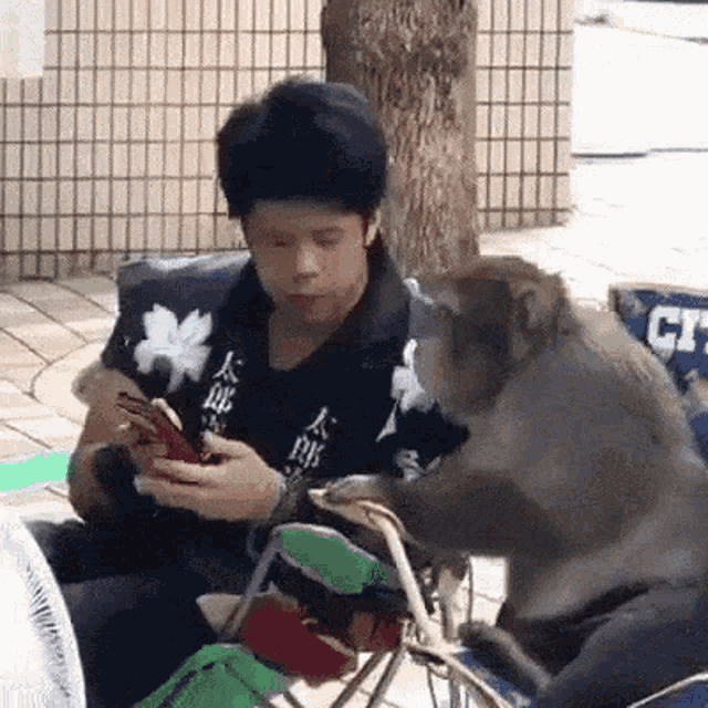 Money Adorable GIF