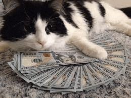 Money Meme