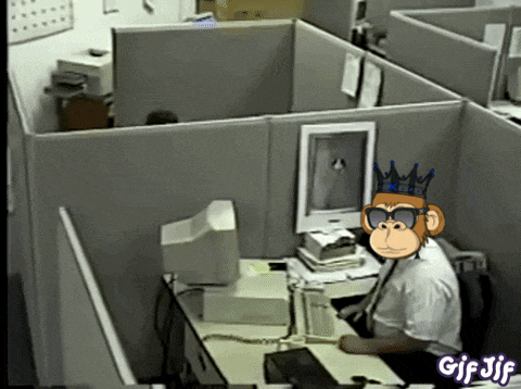 Money Minded Apes Moneymindedapes GIF