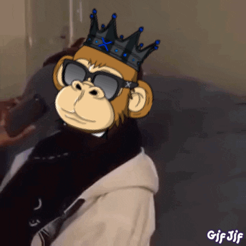 Money Minded Apes Moneymindedapes GIF