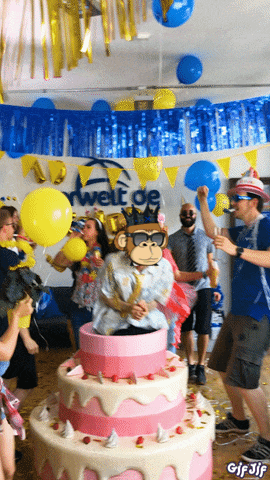 Moneymindedapes Money Minded Apes GIF
