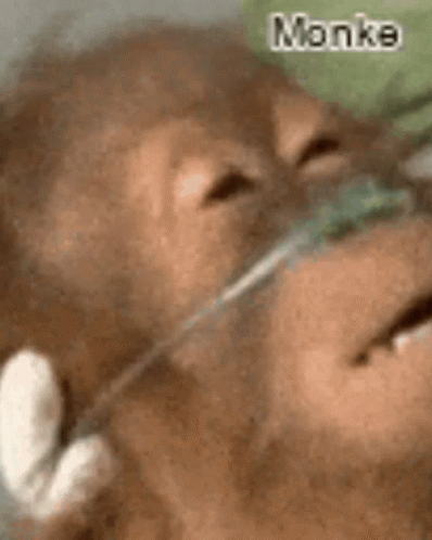 Monke GIF