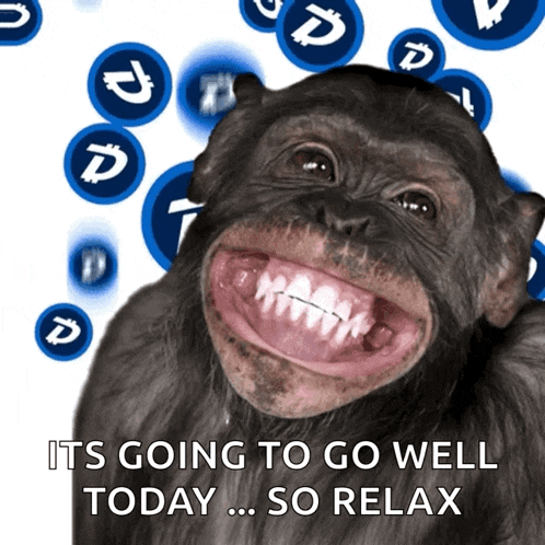 Monkey Ape GIF